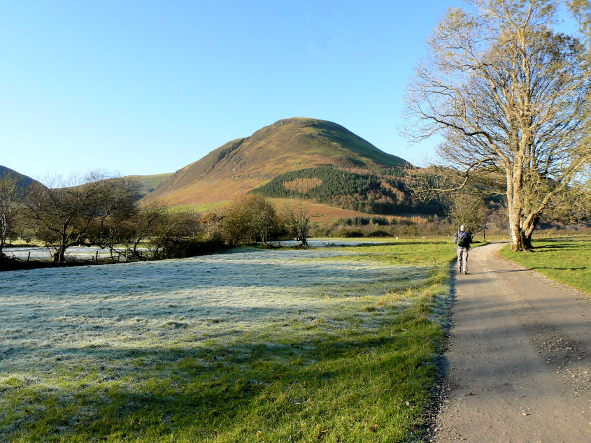 Carling Knott Carling Knott